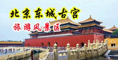 操逼视频普通话中国北京-东城古宫旅游风景区